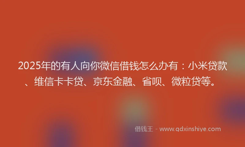 2025年的有人向你微信借钱怎么办有：小米贷款、维信卡卡贷、京东金融、省呗、微粒贷等。