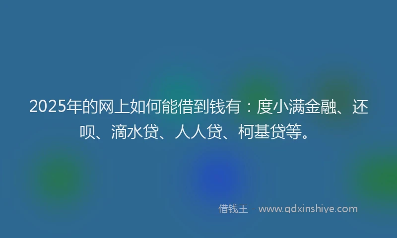 2025年的网上如何能借到钱有：度小满金融、还呗、滴水贷、人人贷、柯基贷等。