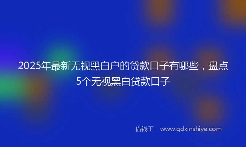 2025年最新无视黑白户的贷款口子有哪些，盘点5个无视黑白贷款口子