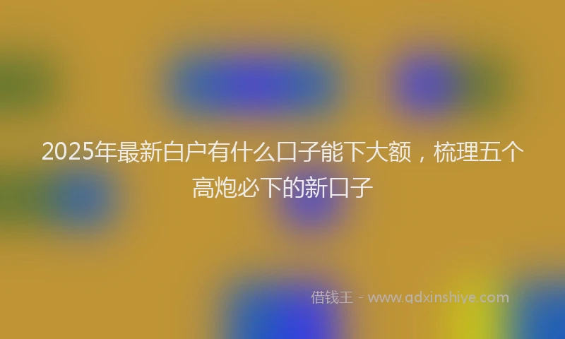2025年最新白户有什么口子能下大额，梳理五个高炮必下的新口子