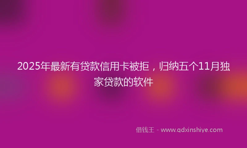 2025年最新有贷款信用卡被拒，归纳五个11月独家贷款的软件