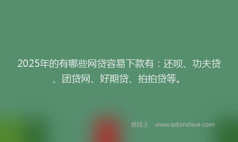 2025年的有哪些网贷容易下款有：还呗、功夫贷、团贷网、好期贷、拍拍贷等。