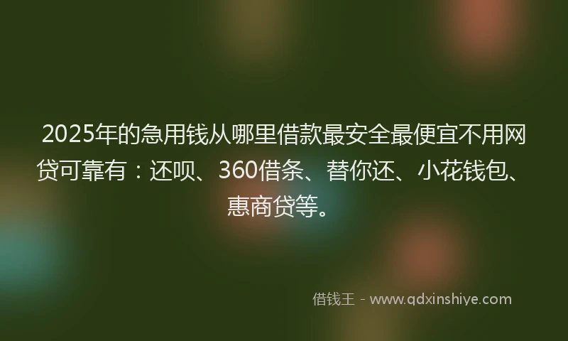 2025年的急用钱从哪里借款最安全最便宜不用网贷可靠有：还呗、360借条、替你还、小花钱包、惠商贷等。