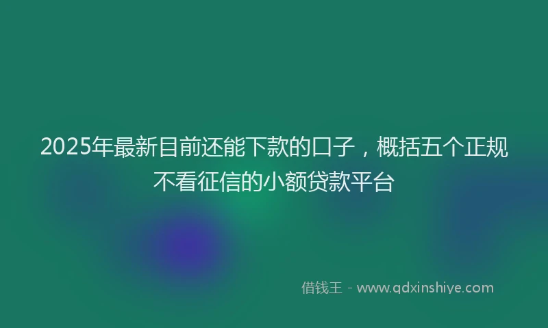 2025年最新目前还能下款的口子，概括五个正规不看征信的小额贷款平台