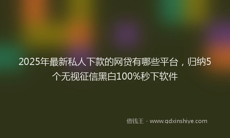 2025年最新私人下款的网贷有哪些平台，归纳5个无视征信黑白100%秒下软件