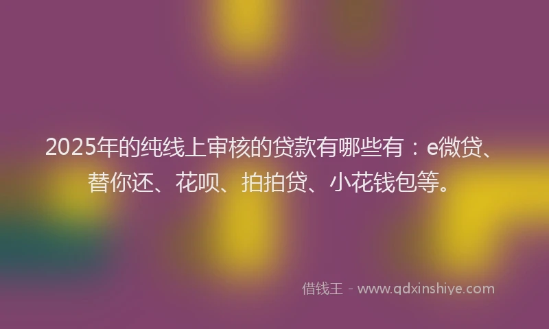 2025年的纯线上审核的贷款有哪些有：e微贷、替你还、花呗、拍拍贷、小花钱包等。