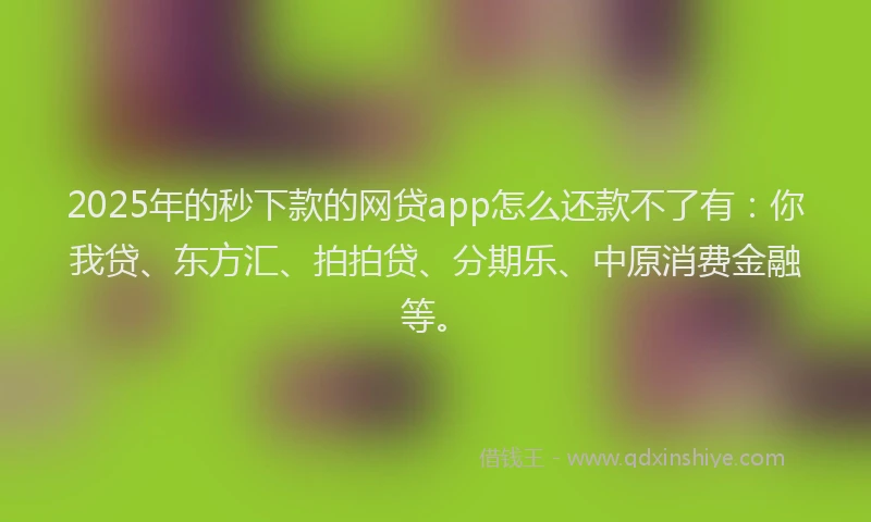 2025年的秒下款的网贷app怎么还款不了有：你我贷、东方汇、拍拍贷、分期乐、中原消费金融等。