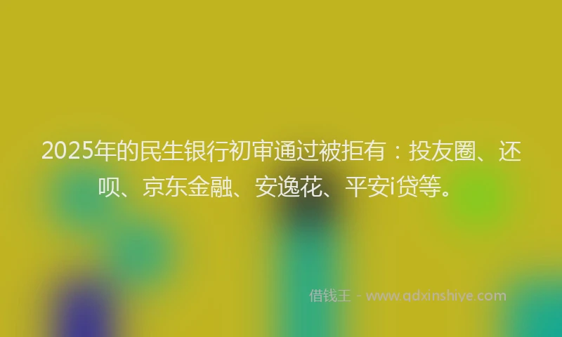 2025年的民生银行初审通过被拒有：投友圈、还呗、京东金融、安逸花、平安i贷等。