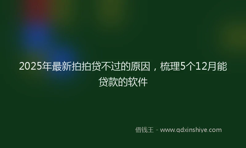 2025年最新拍拍贷不过的原因，梳理5个12月能贷款的软件