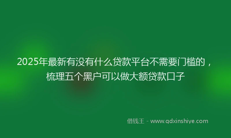2025年最新有没有什么贷款平台不需要门槛的，梳理五个黑户可以做大额贷款口子