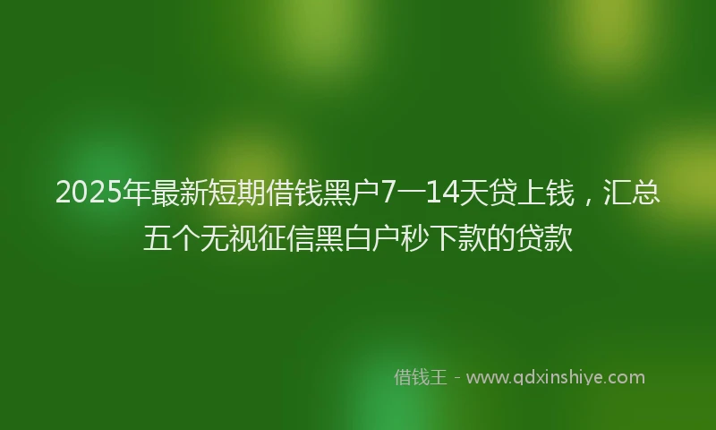 2025年最新短期借钱黑户7一14天贷上钱，汇总五个无视征信黑白户秒下款的贷款