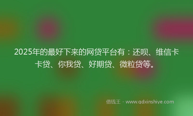 2025年的最好下来的网贷平台有：还呗、维信卡卡贷、你我贷、好期贷、微粒贷等。