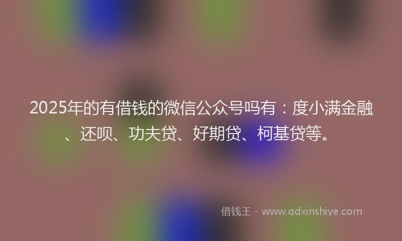2025年的有借钱的微信公众号吗有：度小满金融、还呗、功夫贷、好期贷、柯基贷等。
