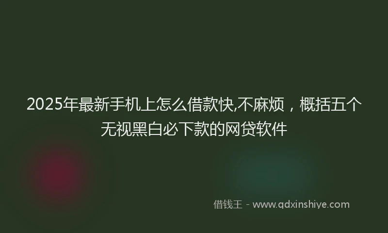 2025年最新手机上怎么借款快,不麻烦，概括五个无视黑白必下款的网贷软件