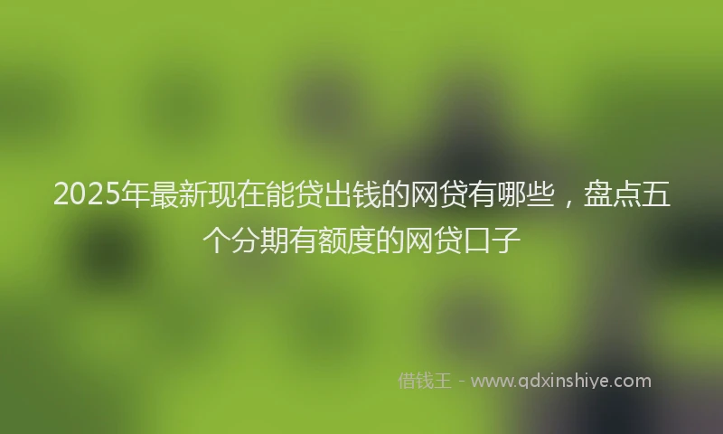 2025年最新现在能贷出钱的网贷有哪些，盘点五个分期有额度的网贷口子
