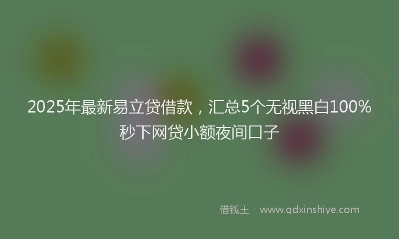 2025年最新易立贷借款，汇总5个无视黑白100%秒下网贷小额夜间口子