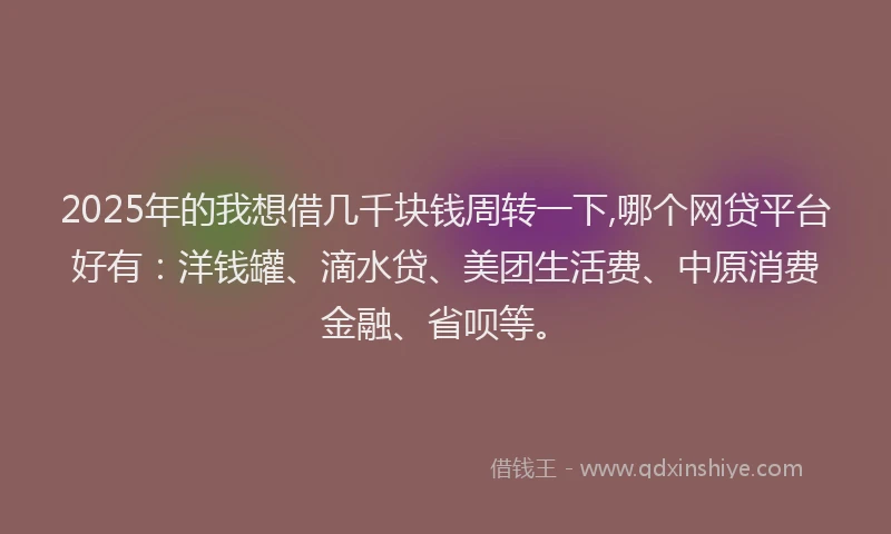 2025年的我想借几千块钱周转一下,哪个网贷平台好有：洋钱罐、滴水贷、美团生活费、中原消费金融、省呗等。