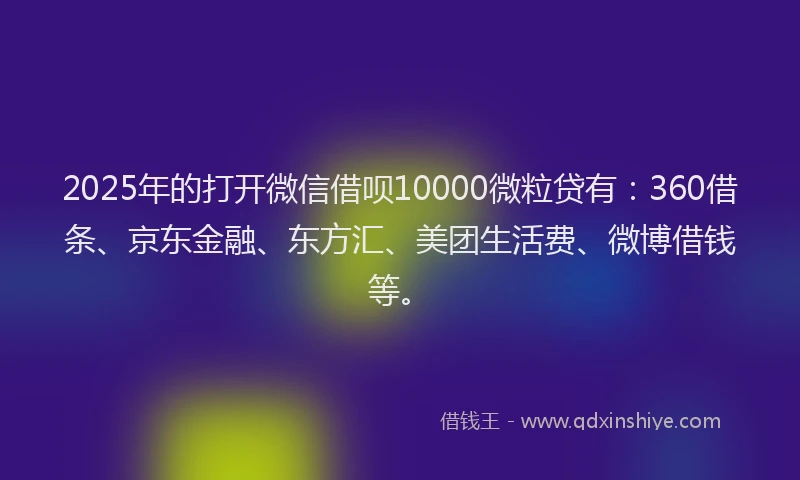 2025年的打开微信借呗10000微粒贷有：360借条、京东金融、东方汇、美团生活费、微博借钱等。
