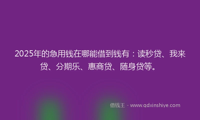2025年的急用钱在哪能借到钱有：读秒贷、我来贷、分期乐、惠商贷、随身贷等。