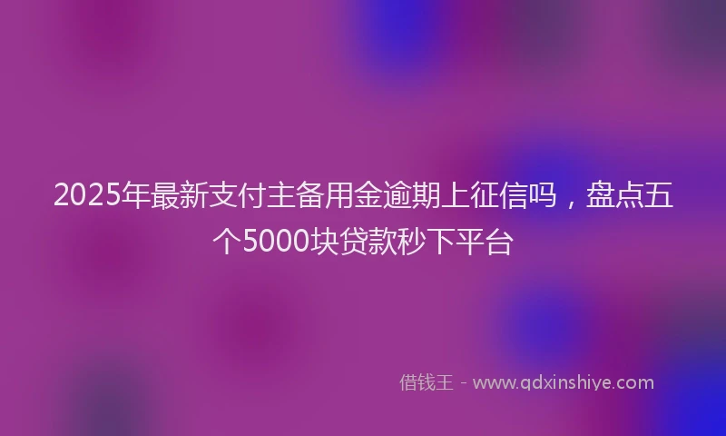 2025年最新支付主备用金逾期上征信吗，盘点五个5000块贷款秒下平台