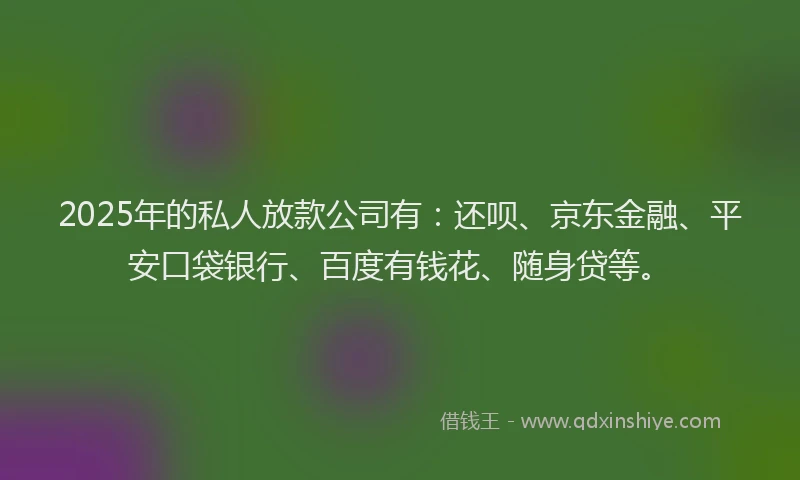 2025年的私人放款公司有：还呗、京东金融、平安口袋银行、百度有钱花、随身贷等。