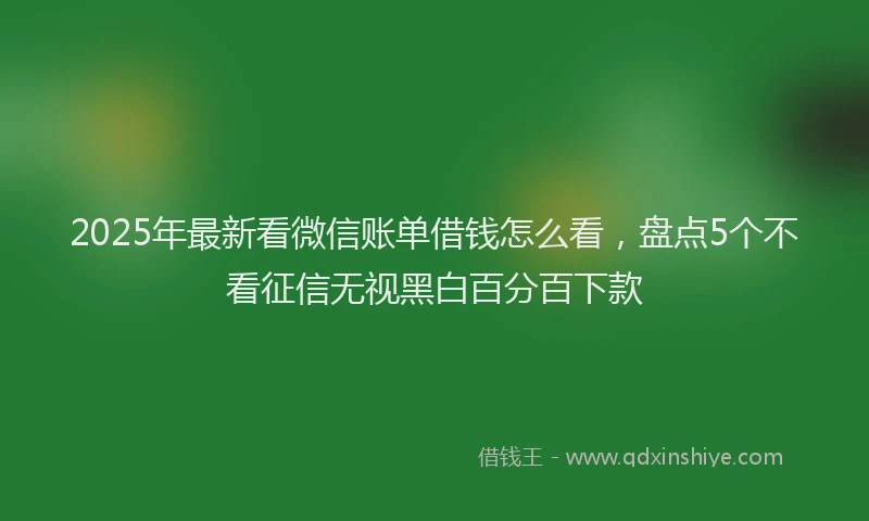 2025年最新看微信账单借钱怎么看，盘点5个不看征信无视黑白百分百下款