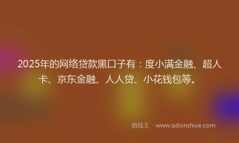 2025年的网络贷款黑口子有：度小满金融、超人卡、京东金融、人人贷、小花钱包等。