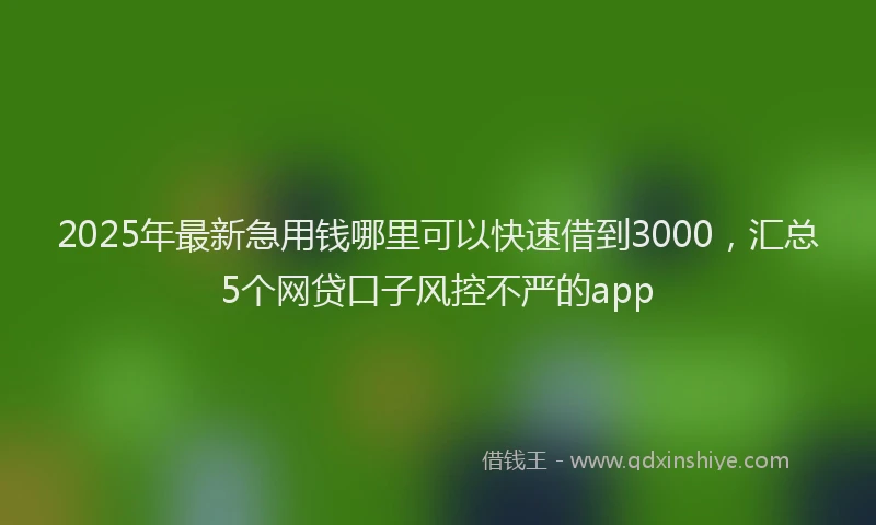 2025年最新急用钱哪里可以快速借到3000，汇总5个网贷口子风控不严的app