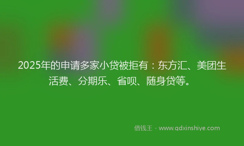 2025年的申请多家小贷被拒有：东方汇、美团生活费、分期乐、省呗、随身贷等。