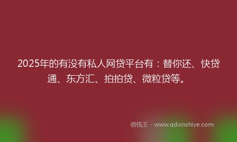 2025年的有没有私人网贷平台有：替你还、快贷通、东方汇、拍拍贷、微粒贷等。
