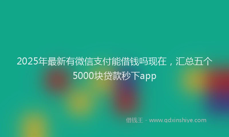 2025年最新有微信支付能借钱吗现在，汇总五个5000块贷款秒下app