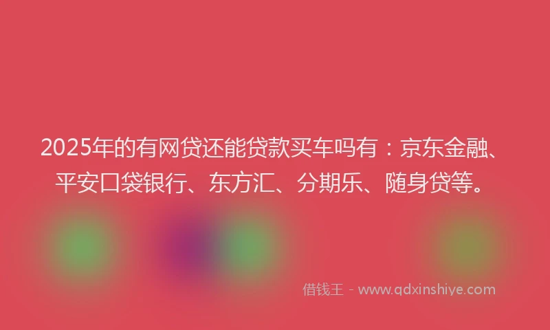 2025年的有网贷还能贷款买车吗有：京东金融、平安口袋银行、东方汇、分期乐、随身贷等。