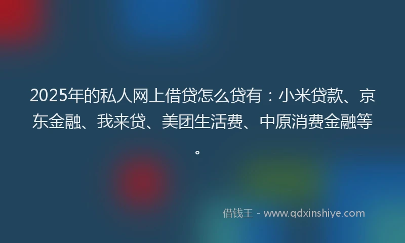 2025年的私人网上借贷怎么贷有：小米贷款、京东金融、我来贷、美团生活费、中原消费金融等。