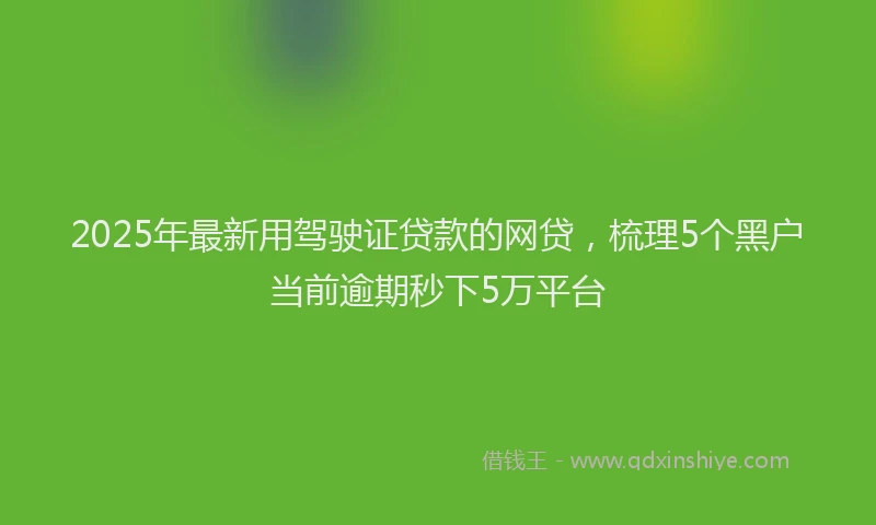 2025年最新用驾驶证贷款的网贷，梳理5个黑户当前逾期秒下5万平台