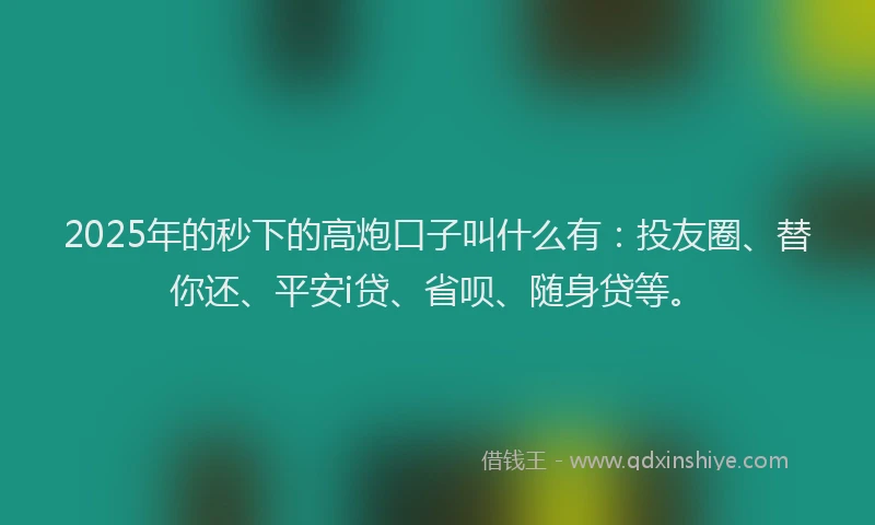 2025年的秒下的高炮口子叫什么有：投友圈、替你还、平安i贷、省呗、随身贷等。