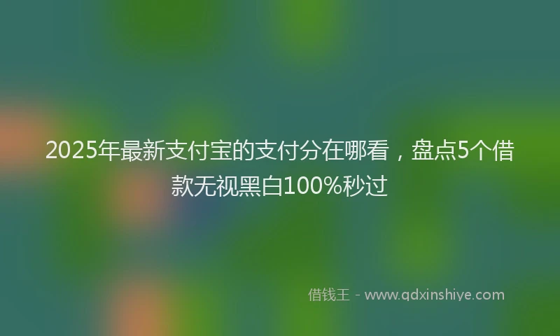 2025年最新支付宝的支付分在哪看，盘点5个借款无视黑白100%秒过