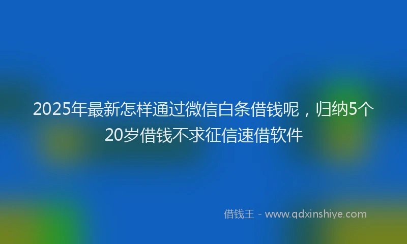 2025年最新怎样通过微信白条借钱呢，归纳5个20岁借钱不求征信速借软件