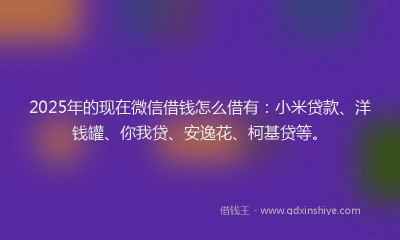 2025年的现在微信借钱怎么借有：小米贷款、洋钱罐、你我贷、安逸花、柯基贷等。