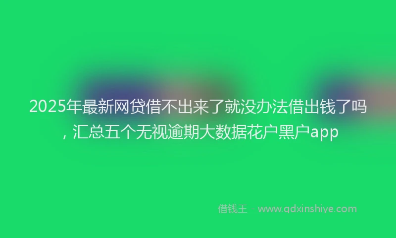 2025年最新网贷借不出来了就没办法借出钱了吗，汇总五个无视逾期大数据花户黑户app