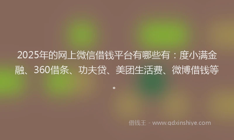 2025年的网上微信借钱平台有哪些有：度小满金融、360借条、功夫贷、美团生活费、微博借钱等。