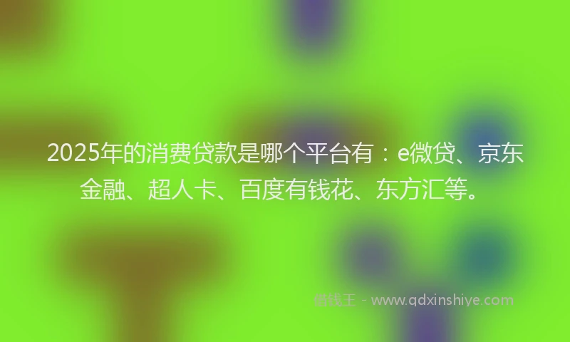 2025年的消费贷款是哪个平台有：e微贷、京东金融、超人卡、百度有钱花、东方汇等。