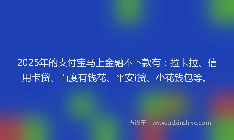 2025年的支付宝马上金融不下款有：拉卡拉、信用卡贷、百度有钱花、平安i贷、小花钱包等。