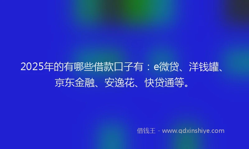 2025年的有哪些借款口子有：e微贷、洋钱罐、京东金融、安逸花、快贷通等。