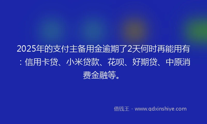 2025年的支付主备用金逾期了2天何时再能用有：信用卡贷、小米贷款、花呗、好期贷、中原消费金融等。