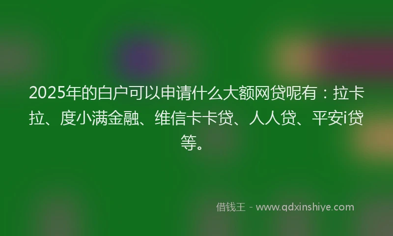 2025年的白户可以申请什么大额网贷呢有：拉卡拉、度小满金融、维信卡卡贷、人人贷、平安i贷等。