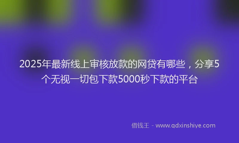 2025年最新线上审核放款的网贷有哪些，分享5个无视一切包下款5000秒下款的平台