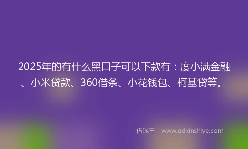 2025年的有什么黑口子可以下款有：度小满金融、小米贷款、360借条、小花钱包、柯基贷等。