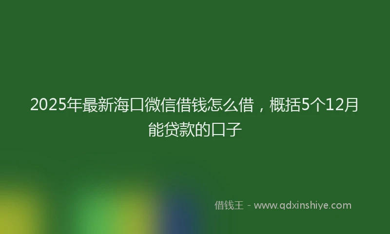 2025年最新海口微信借钱怎么借，概括5个12月能贷款的口子
