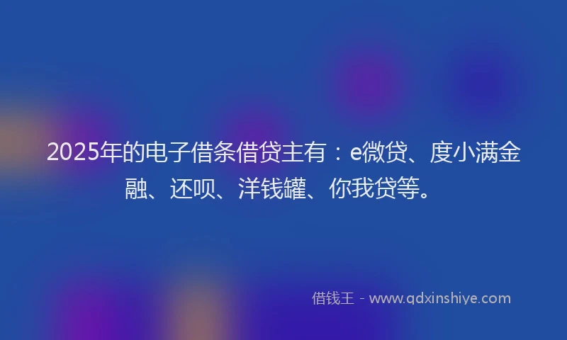 2025年的电子借条借贷主有：e微贷、度小满金融、还呗、洋钱罐、你我贷等。