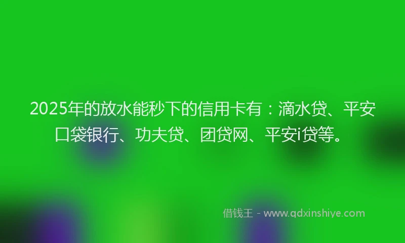 2025年的放水能秒下的信用卡有：滴水贷、平安口袋银行、功夫贷、团贷网、平安i贷等。